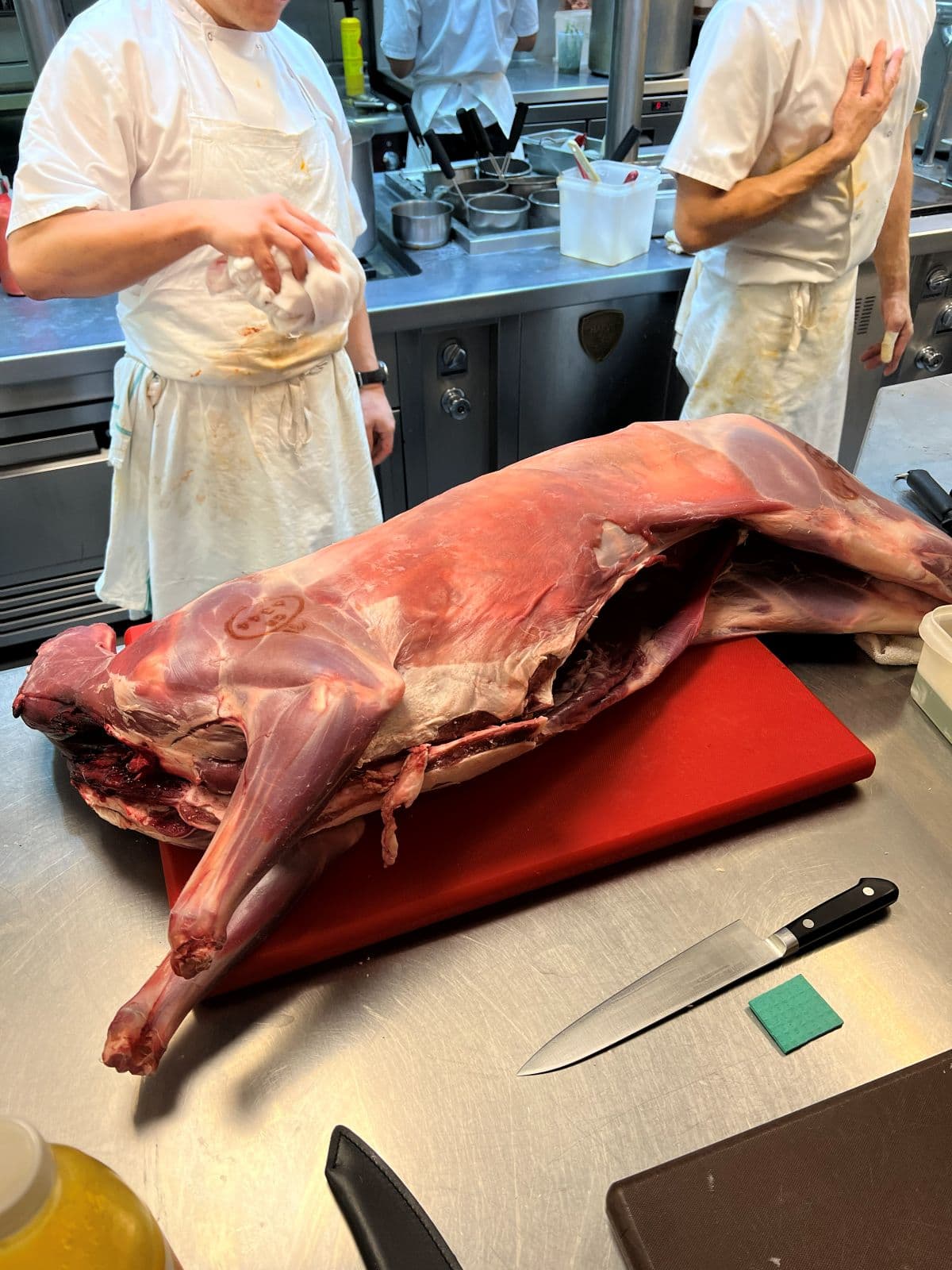 Evgeniya Medvedenko-4.jpg