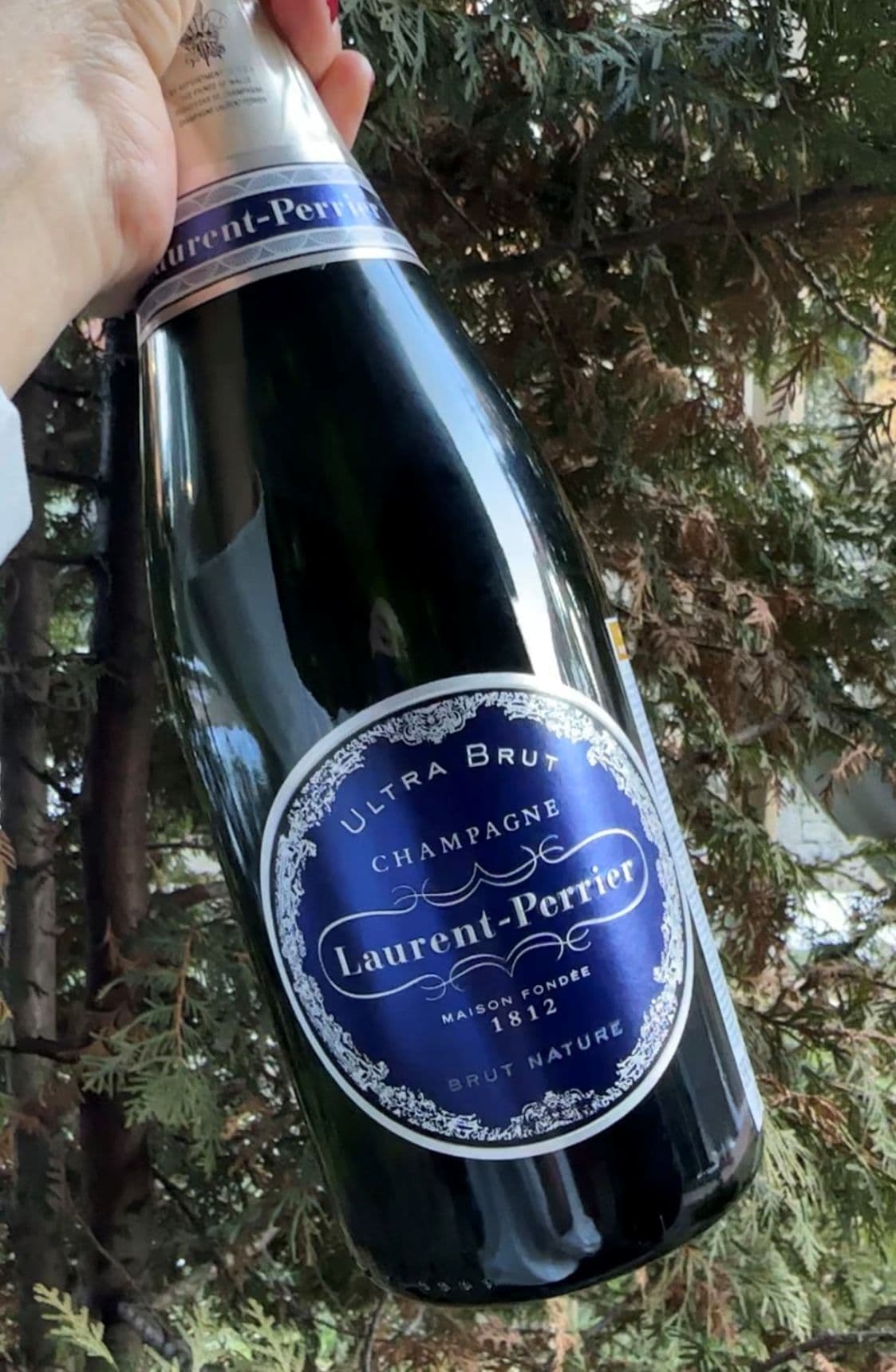 Champagne2