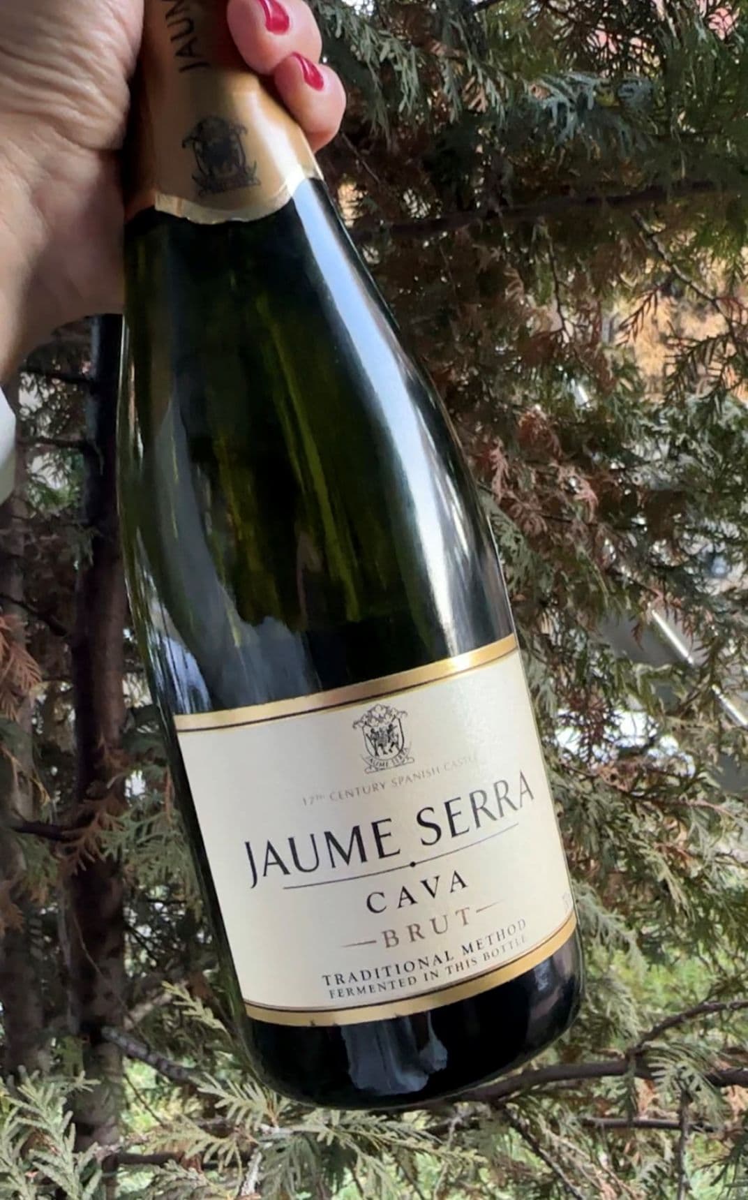 Champagne3