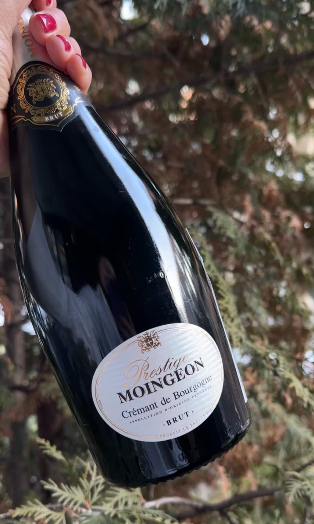 Champagne5