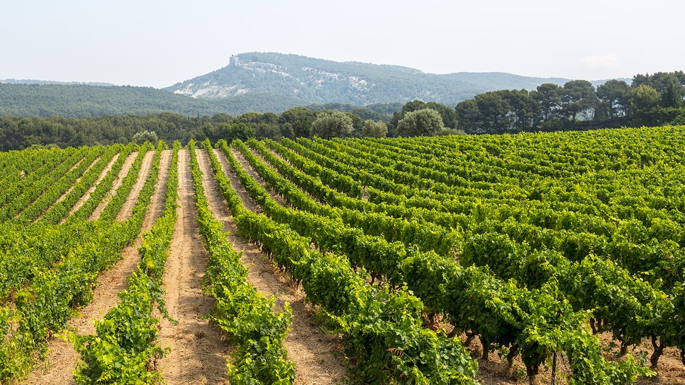 Феномен JP Chenet