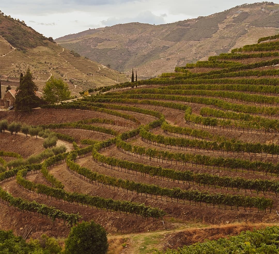 Graham’s в Алматы 5