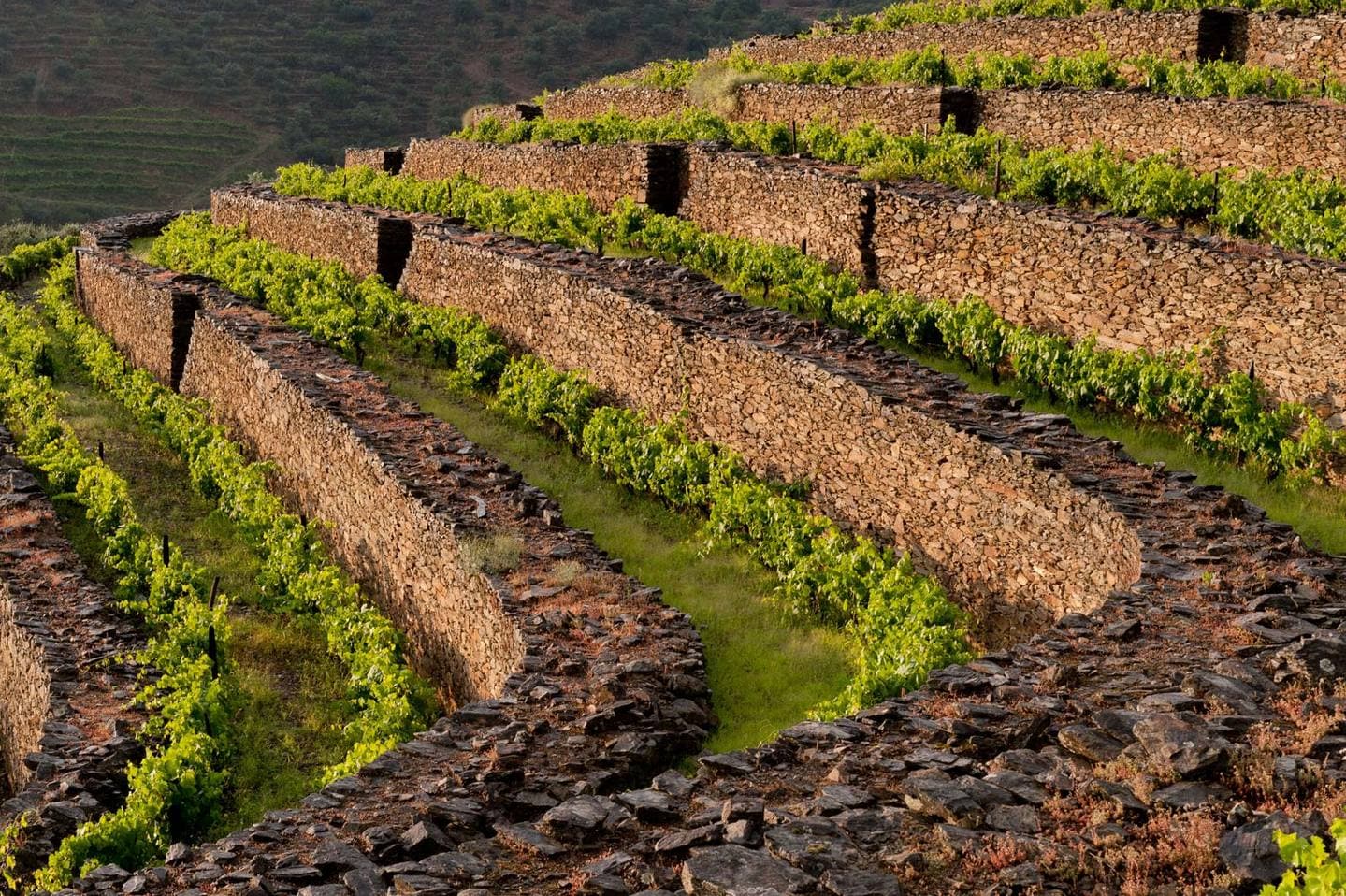 Graham’s в Алматы